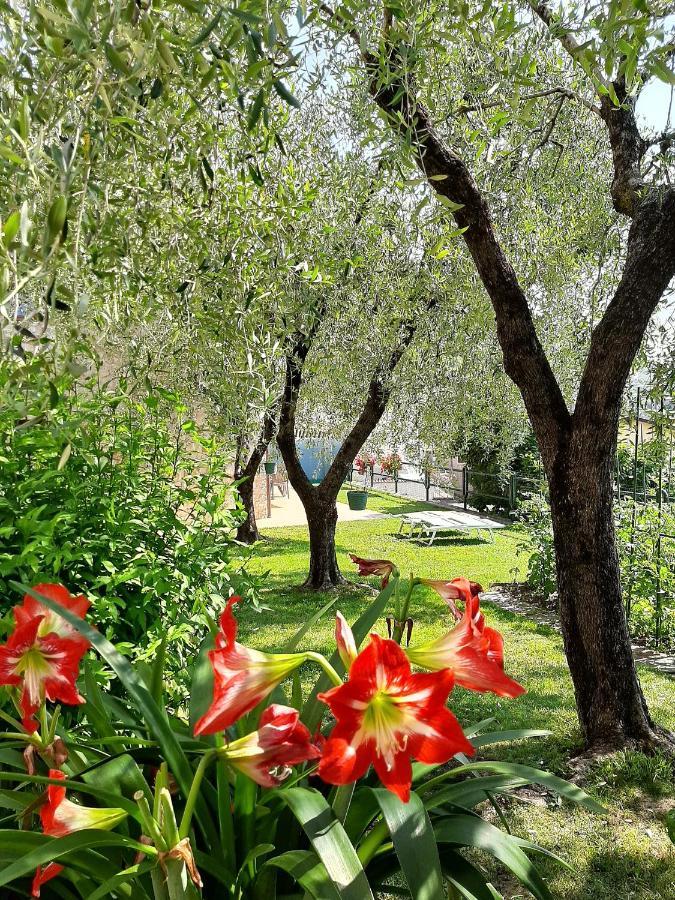 Apartment Maria Brenzone sul Garda Exterior photo