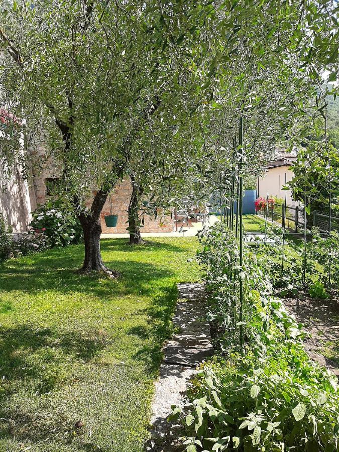 Apartment Maria Brenzone sul Garda Exterior photo
